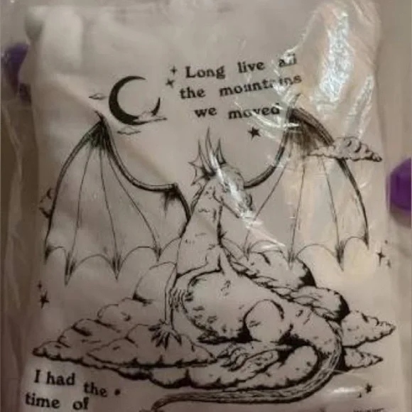 🎵NIP! Taylor Swift Speak Now Fighting Dragons With You Hoodie - Picture 2 of 5